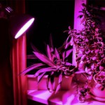 LED крушка за растения E27 8W A60 Videx