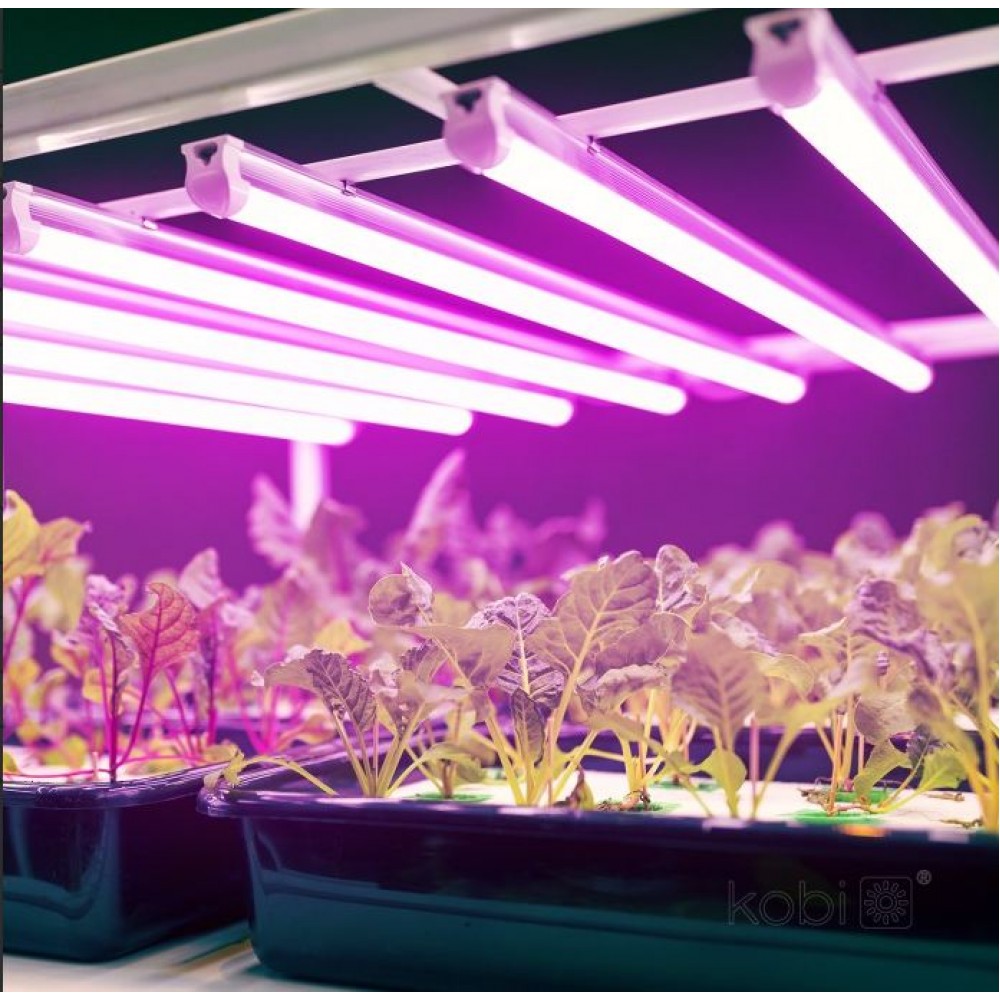 LED Лампа за растения 9W 600мм Growly Kobi