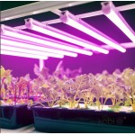 LED Лампа за растения 9W 600мм Growly Kobi